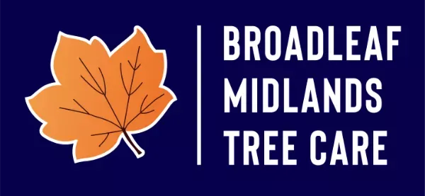 Broadleaf Midlands Tree Care